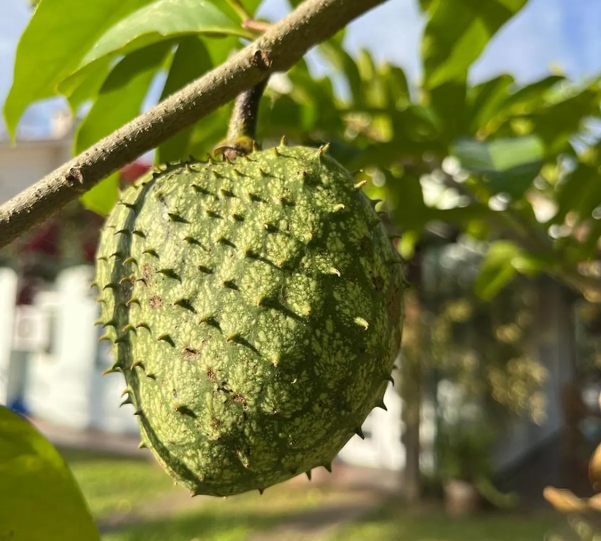 Casa Aconchegante Em Garopaba Βίλα 0*,