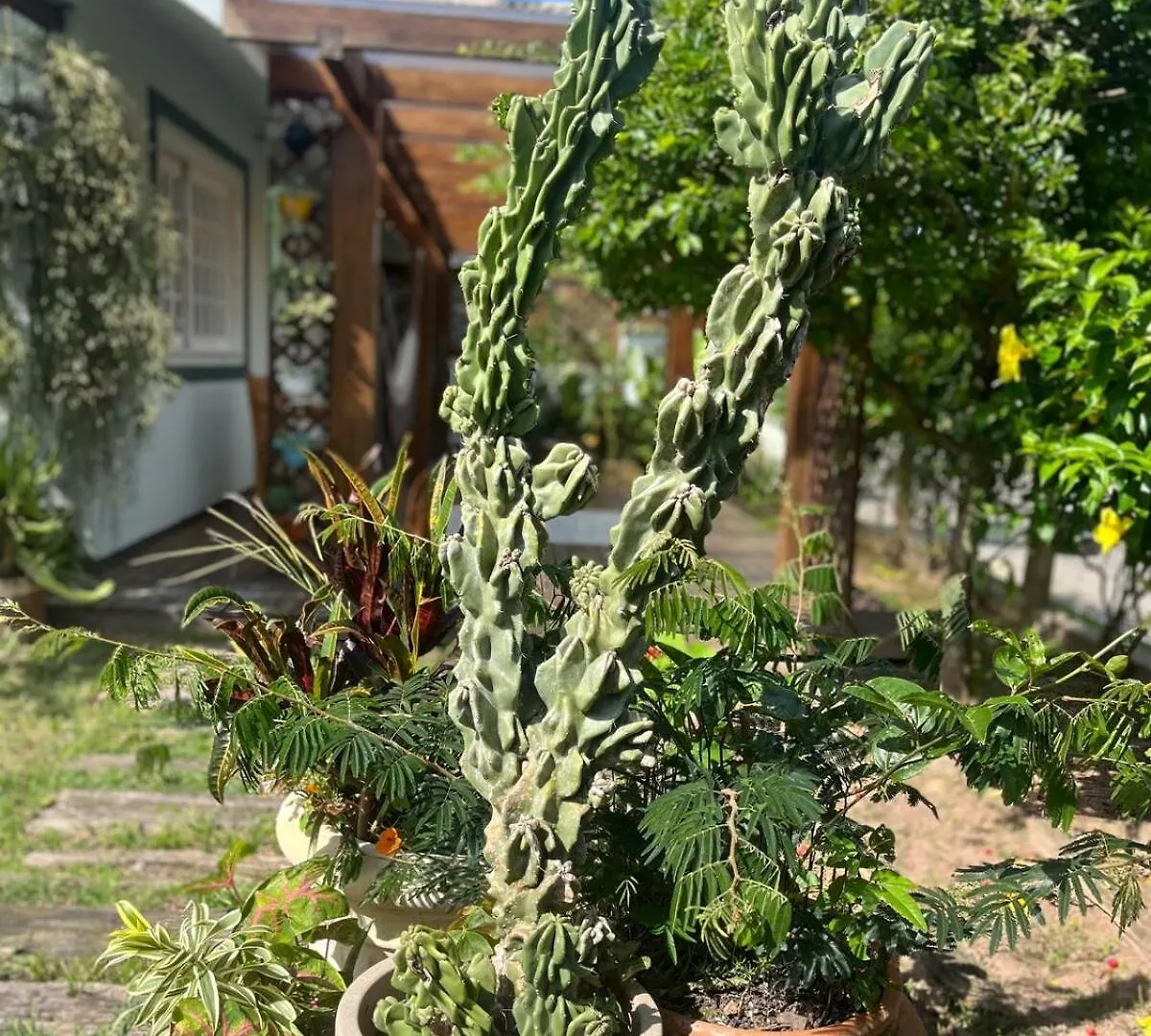Casa Aconchegante Em Garopaba Βίλα 0*,  Βραζιλία